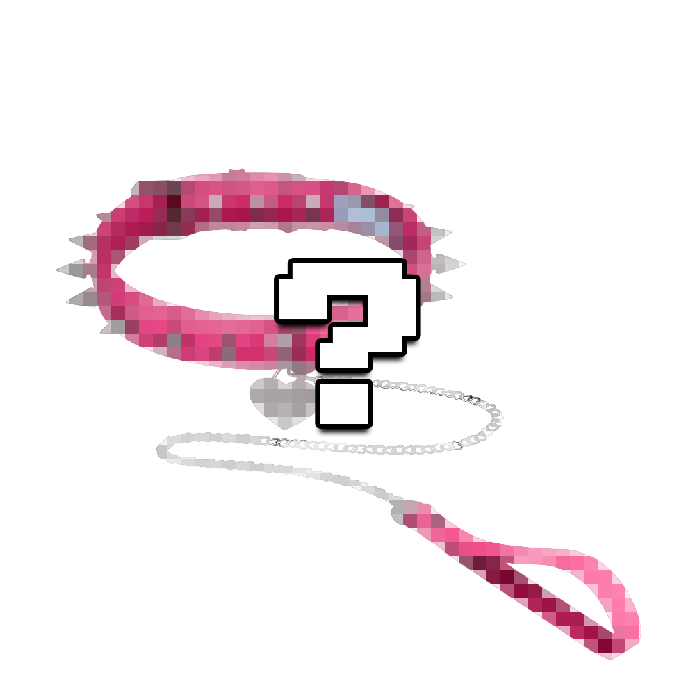 Vei: Snax Spiked Dog Collar + Leash (Coming Soon!)