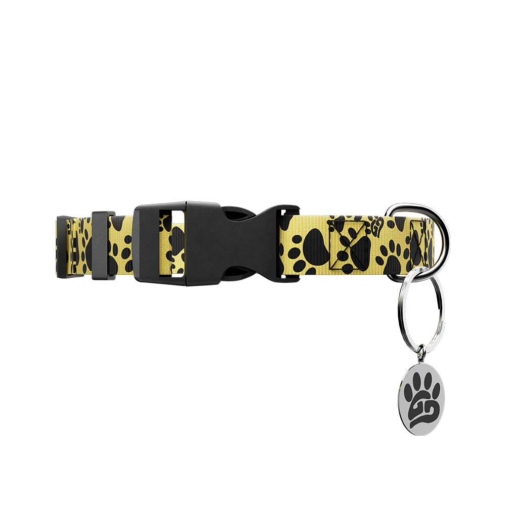 WOOF: Dog Leash & Collar