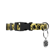 WOOF: Dog Leash & Collar